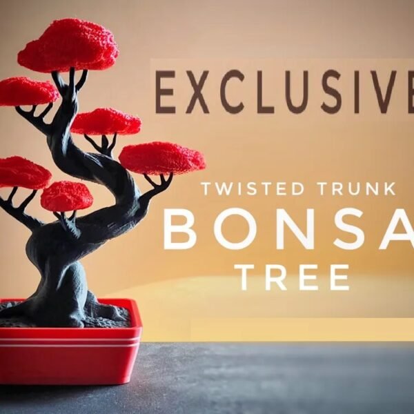 Twisted Trunk Bonsai Tree for Stylish Home Decor, Office Table and Elegant Presentation of Your Plant Art