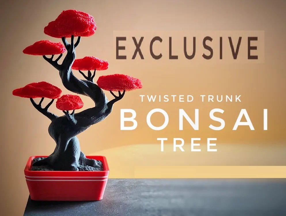 Twisted Trunk Bonsai Tree for Stylish Home Decor, Office Table and Elegant Presentation of Your Plant Art