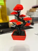 Twisted Trunk Bonsai Tree for Stylish Home Decor, Office Table and Elegant Presentation of Your Plant Art
