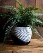 Planter Pot with Drainage Holes