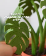 Leafix Monstera Coaster Set With Magnetic Leaves & Pot - Image 3
