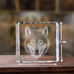 5x5x5 cm cube