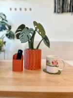Leafix Monstera Coaster Set With Magnetic Leaves & Pot - Image 4