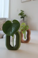 LoopRoot test tube plant holder