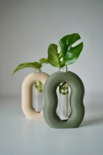 LoopRoot plant cutting propagation setup