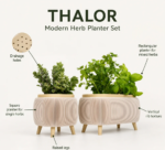 Modern Herb Planter Set with Drainage & Legs