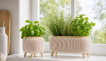 Modern Herb Planter Set with Drainage & Legs in Ivory