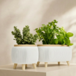 Modern Herb Planter Set with Drainage & Legs in White