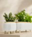 Modern Herb Planter Set with Drainage & Legs in White