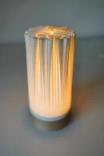 ORGANIS Minimalist Organic Table Lamp