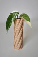 rootnest-plant-cutting-propagation